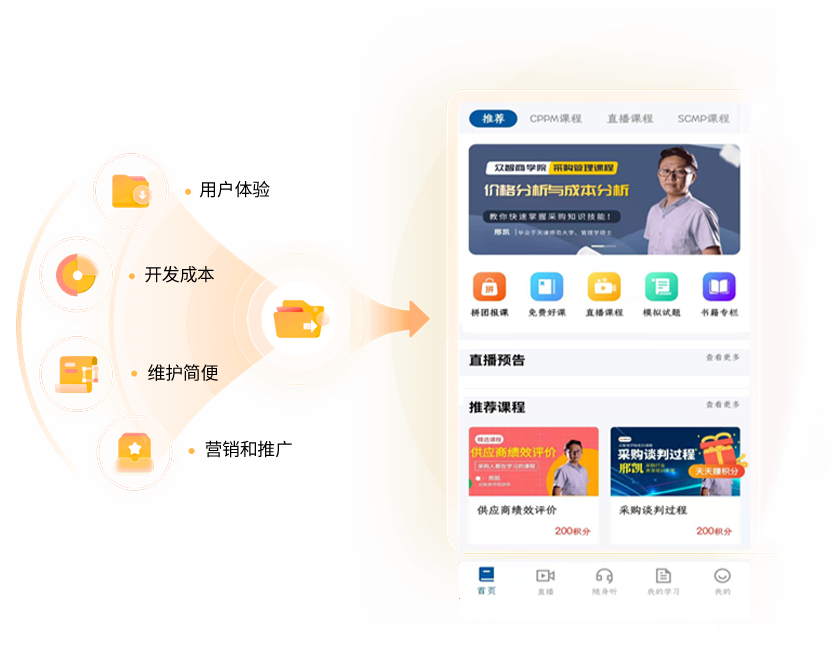 软件开发